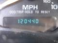 Light Pewter Metallic - S10 Regular Cab Photo No. 14