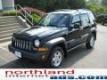 Black Clearcoat - Liberty Sport 4x4 Photo No. 2