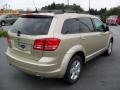 White Gold - Journey SXT Photo No. 4