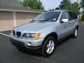 Titanium Silver Metallic - X5 3.0i Photo No. 1