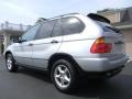 Titanium Silver Metallic - X5 3.0i Photo No. 12