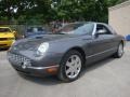 2003 Mountain Shadow Grey Ford Thunderbird Premium Roadster  photo #1