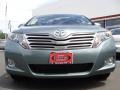 Aloe Green Metallic - Venza I4 Photo No. 2