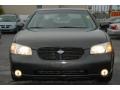 Gray Lustre Metallic - Maxima SE Photo No. 7