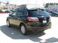 Brilliant Black - CX-9 Sport Photo No. 3
