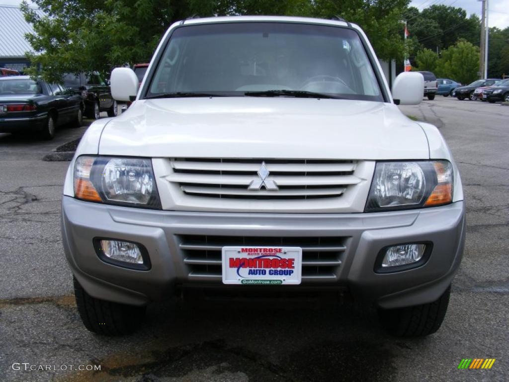 2002 Montero Limited 4x4 - Glacier White Pearlescent / Gray photo #8