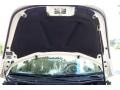 Harvest Moon Beige - New Beetle TDI Coupe Photo No. 52
