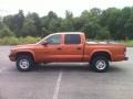 2000 Amber Fire Pearl Dodge Dakota Sport Crew Cab 4x4  photo #3