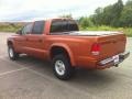 2000 Amber Fire Pearl Dodge Dakota Sport Crew Cab 4x4  photo #4