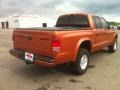 2000 Amber Fire Pearl Dodge Dakota Sport Crew Cab 4x4  photo #6