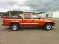 2000 Amber Fire Pearl Dodge Dakota Sport Crew Cab 4x4  photo #7