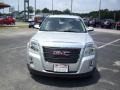 2010 Quicksilver Metallic GMC Terrain SLE  photo #10