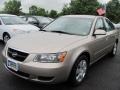 Golden Beige - Sonata GLS Photo No. 1