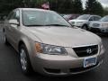 Golden Beige - Sonata GLS Photo No. 17