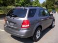 Alpine Gray - Sorento LX Photo No. 4
