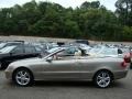 2007 Pewter Metallic Mercedes-Benz CLK 350 Cabriolet  photo #3