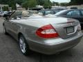 2007 Pewter Metallic Mercedes-Benz CLK 350 Cabriolet  photo #4