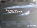 Willow Gray - Sonata GLS Photo No. 10