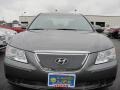 Willow Gray - Sonata GLS Photo No. 18