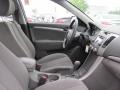 Willow Gray - Sonata GLS Photo No. 7