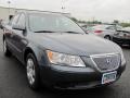 Willow Gray - Sonata GLS Photo No. 17