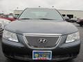 Willow Gray - Sonata GLS Photo No. 18