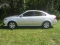 Bright Silver - Optima LX Photo No. 15