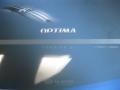 Bright Silver - Optima LX Photo No. 32