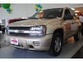 Sandstone Metallic - TrailBlazer LS 4x4 Photo No. 2