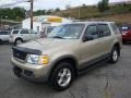 2002 Harvest Gold Metallic Ford Explorer XLT 4x4  photo #10