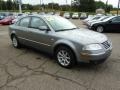 Stonehenge Grey Metallic - Passat GLS Sedan Photo No. 6