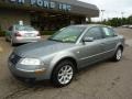 Stonehenge Grey Metallic - Passat GLS Sedan Photo No. 8