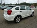Stone White - Caliber SXT Photo No. 4