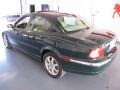 Jaguar Racing Green Metallic - X-Type 2.5 Photo No. 4
