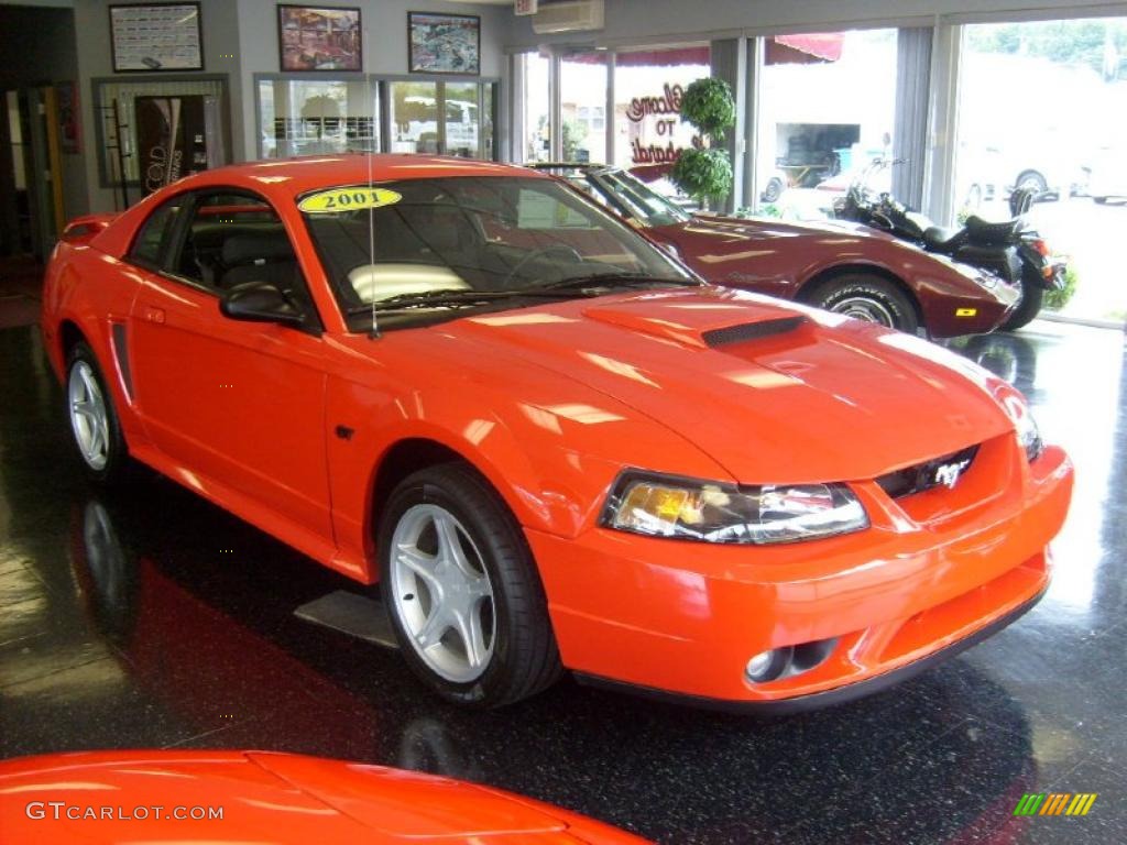 Performance Red Ford Mustang