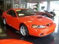 2001 Performance Red Ford Mustang GT Coupe  photo #1