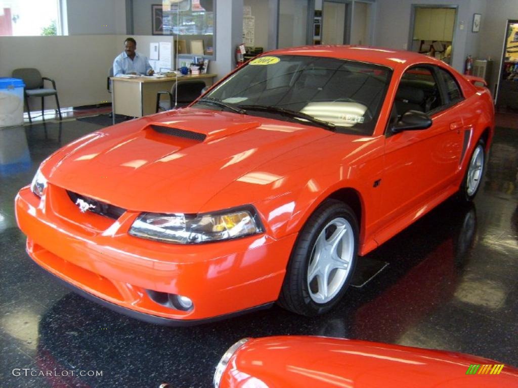 2001 Mustang GT Coupe - Performance Red / Dark Charcoal photo #3