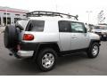 Titanium Metallic - FJ Cruiser 4WD Photo No. 2