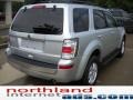 Ingot Silver Metallic - Mariner I4 Photo No. 2