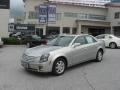 Light Platinum - CTS Sedan Photo No. 43