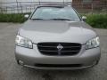 Sterling Mist Metallic - Maxima SE Photo No. 3