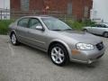 Sterling Mist Metallic - Maxima SE Photo No. 6