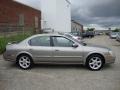 Sterling Mist Metallic - Maxima SE Photo No. 7