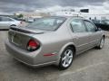 Sterling Mist Metallic - Maxima SE Photo No. 8