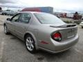 Sterling Mist Metallic - Maxima SE Photo No. 10