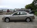Sterling Mist Metallic - Maxima SE Photo No. 11