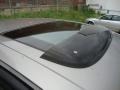 Sterling Mist Metallic - Maxima SE Photo No. 23