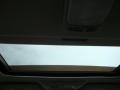 Sterling Mist Metallic - Maxima SE Photo No. 28