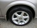 Sterling Mist Metallic - Maxima SE Photo No. 34