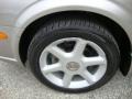 Sterling Mist Metallic - Maxima SE Photo No. 40